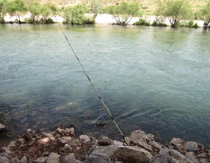 ماهیگیری رودخانه