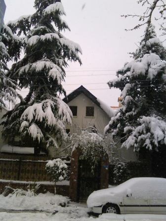 خانه ی کوچکی در برف