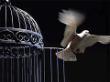 تصاویر بسیار زیبا ارتباط دانش آموزان با شهدا - خاطرات کبوتران حرم عشق
