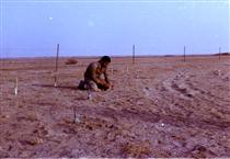 رمل هاي تشنه فکه رمل هاي تشنه فکه