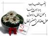 عيدي متفاوت