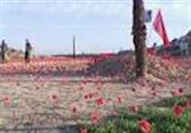 شايد اين جا کربلاي ما باشد