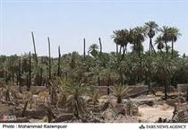 اِعطاء فَدَک به حضرت فاطمه سلام الله عليها