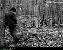 عفاف زنان به غنيمت ميرود!