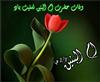 تربيت يافته ام البنين