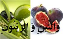 سوگندهاي حکيمانه