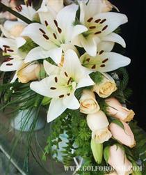 چشمه اميد زمان