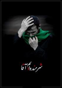 شرمنده ايم آقا