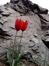 موجيم که آسودگي ما عدم ماست