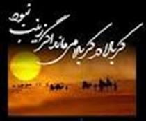 وفات حضرت زينب کبري وفات حضرت زينب کبري