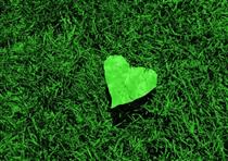 سناريويي مستند ... سناريويي مستند ...