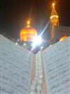 زوّارامام رضاعليه السلام