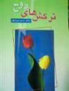 امام صبر