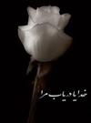 مهربان خداي من...