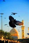 ارباب مهربان