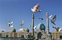 تقويم هاي کمر شکسته...