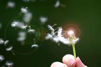 مثل يک صف طولاني رأي