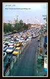 عصر ها در قم با حوصله تر شويد!