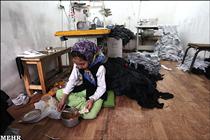 بالاخره علم بهتر است يا ثروت!