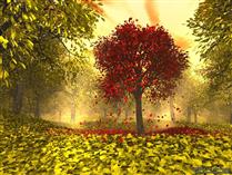 سر در نمي آورم سر در نمي آورم