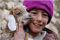 کاش يک روستايي بودم