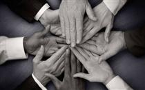 شتر در خواب بيند پنبه دانه