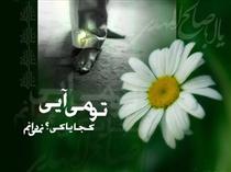 راز سر به مُهر