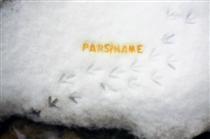 چهارمين انتخابات دبيران