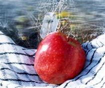 بوي ِ سرخ ِ سيب