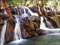 وضعيت خانم ها در بهشت