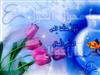 آداب حسنه نوروز