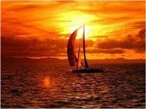 قافيه را باخته ايم