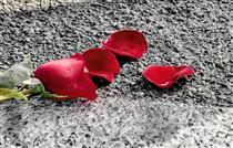 يك كوفه پر از درد