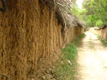 نه! اين كوچه هنوز هم خالي نيست...