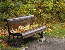 نيمکت  هاي تنهايي ما