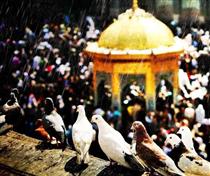 بگذريم از گلايه ها بگذريم از گلايه ها