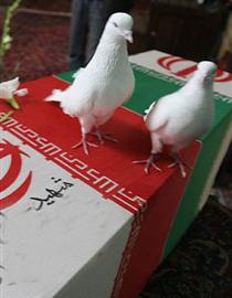 خداحافظ رفيق