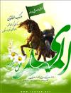 هوادار