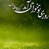 لولي وش