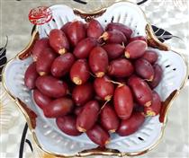 خارک و رطب دشتستون