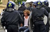 باور کنيد، اينجا لانه روباه است! باور کنيد، اينجا لانه روباه است!