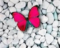 خاکستر قلبي خاکستر قلبي