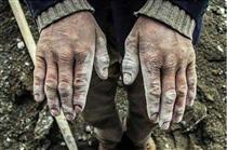 عکس ها سخن مي گويند!