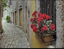 ترانه ي درد