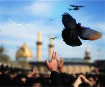 كيميايِ اشك