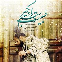 حبيب دستم را بگير