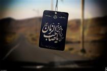 نقل و نبات