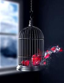 ديوانه از قفس پريد! ديوانه از قفس پريد!