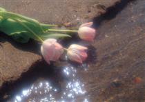 يه روزي،خوب بودم .اما حالا چي ؟!