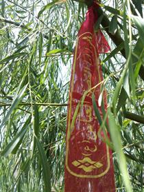 پرواز با صادق آل عبا+عکس